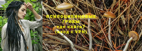 jwh Алексин